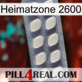 Home Zone 2600 08